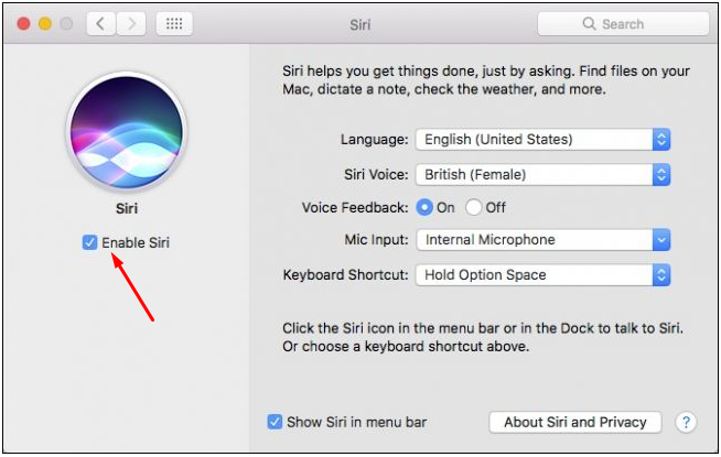Disable_Siri.png