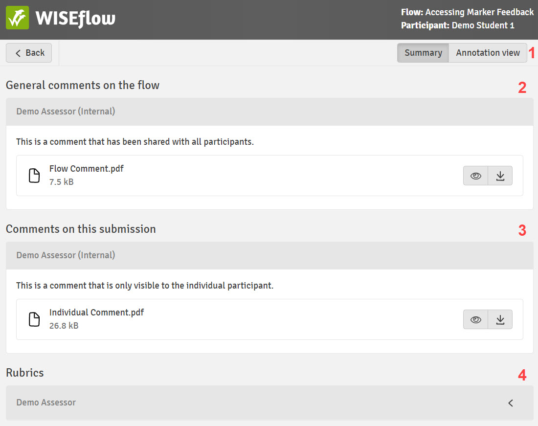 Comments_and_Rubric_Feedback_on_FLOWassign.jpg