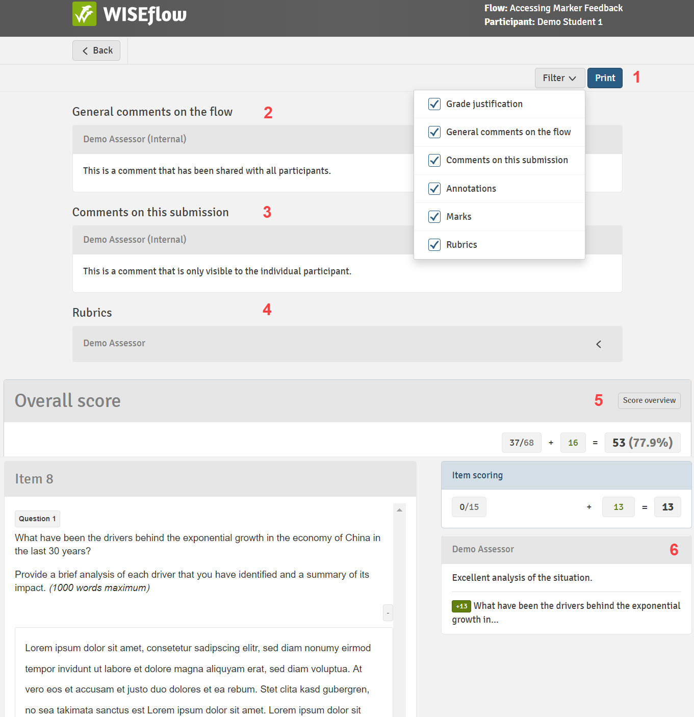 Comments_and_Rubric_Feedback_on_FLOWmulti.jpg